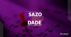 A Sazonalidade Promocional é a melhor opção?