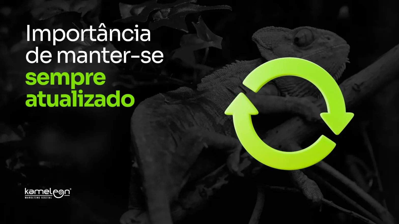 Estar atualizado no marketing digital