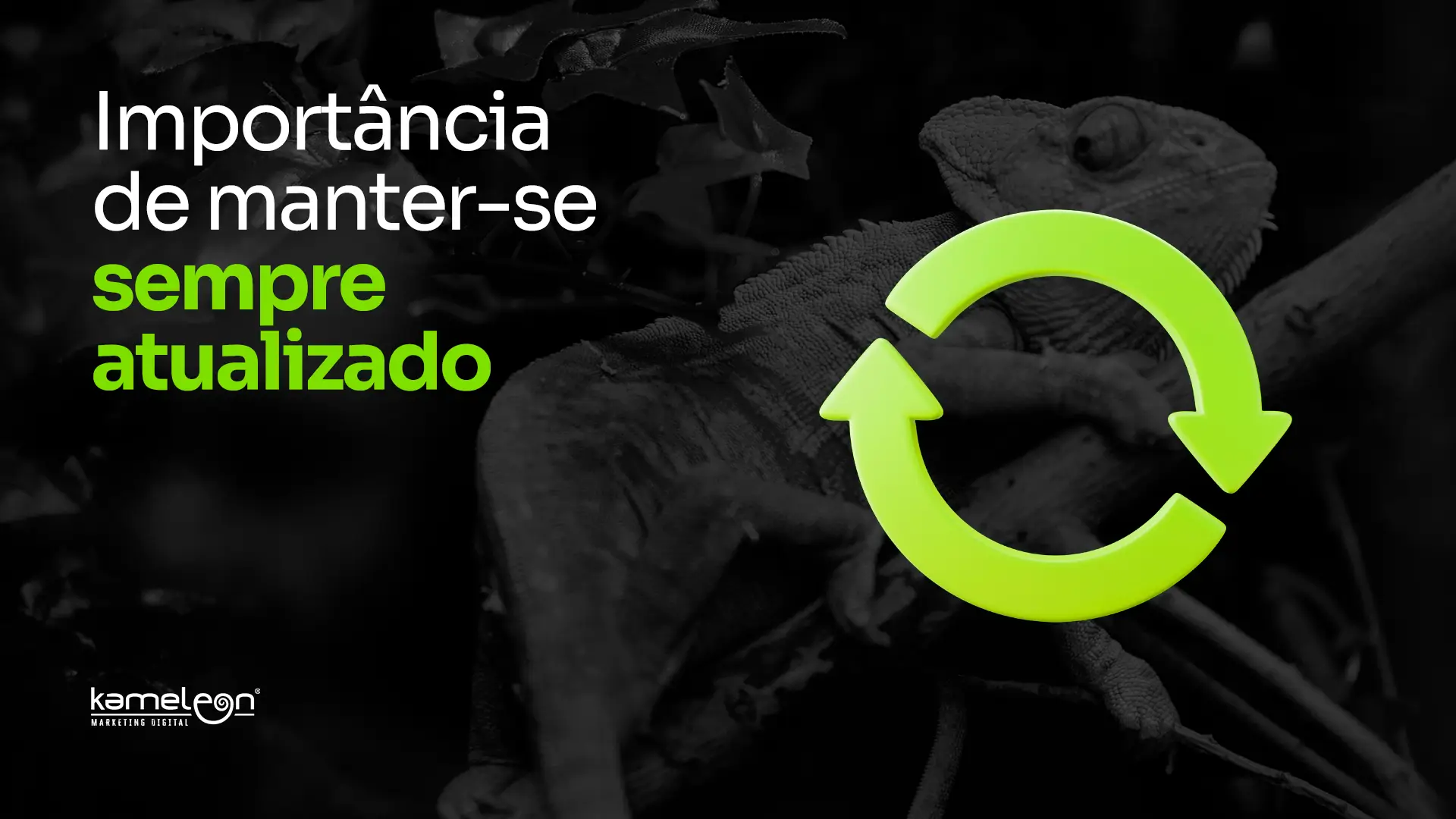 Estar atualizado no marketing digital