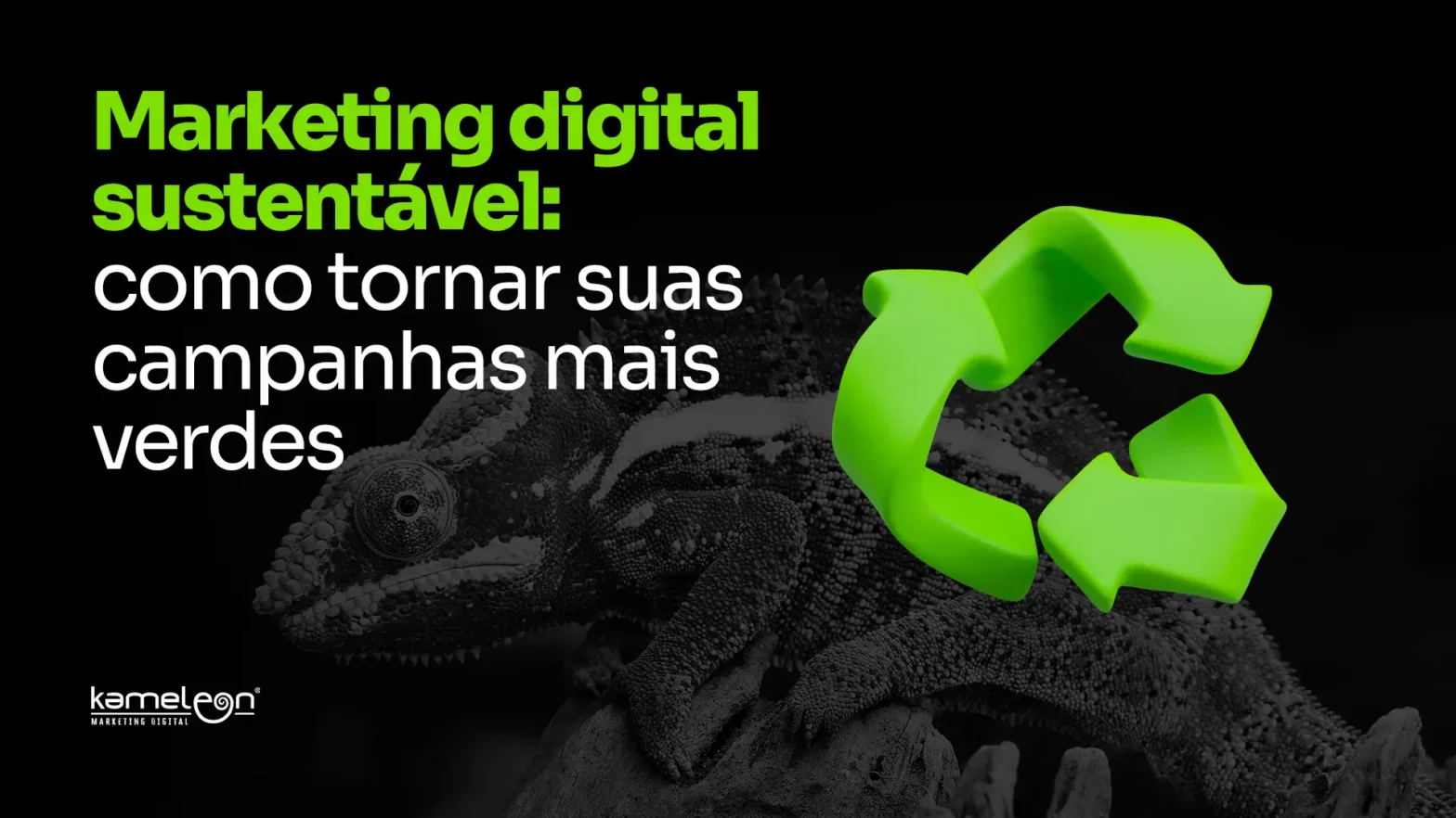 Marketing digital sustentável e pegada de carbono