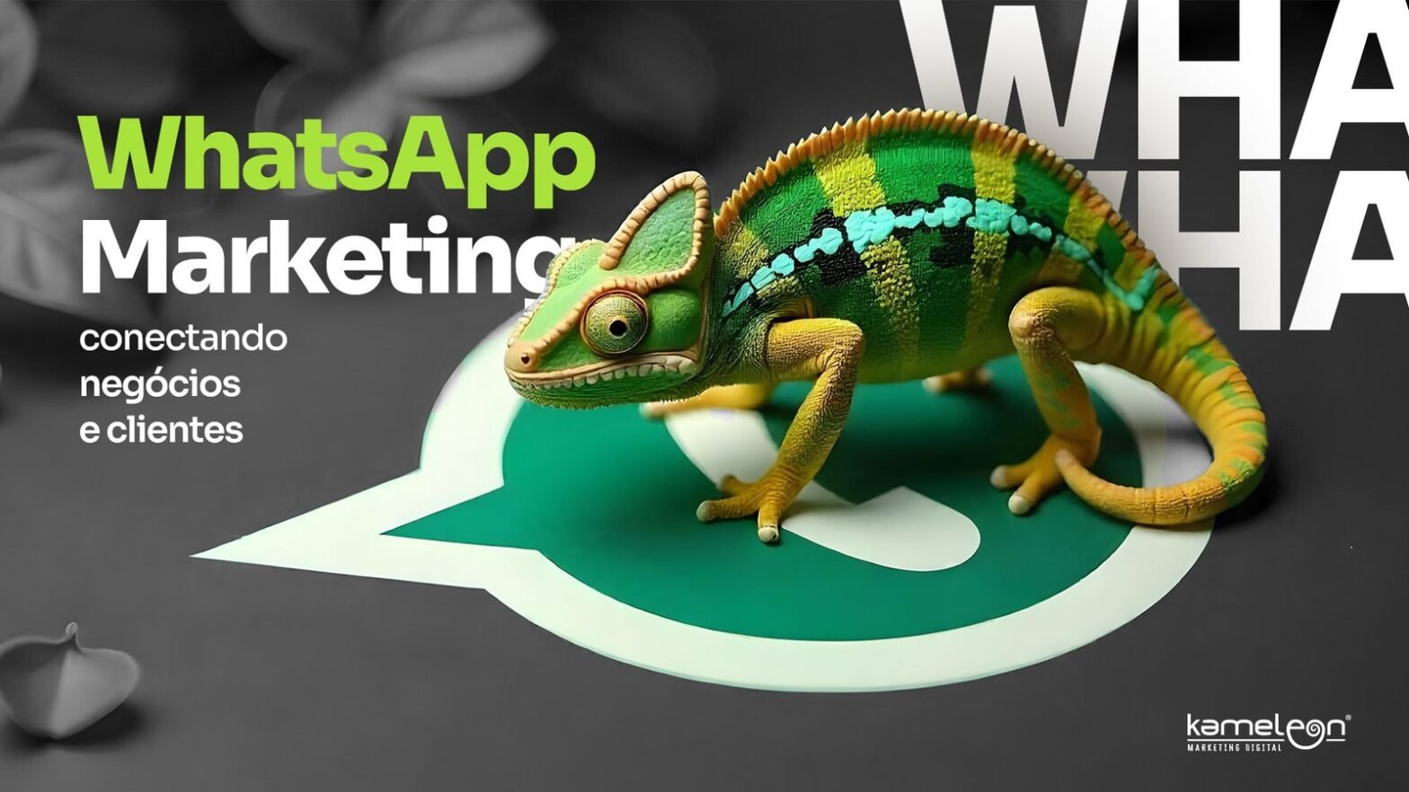 WhatsApp Marketing para conectar empresas e clientes