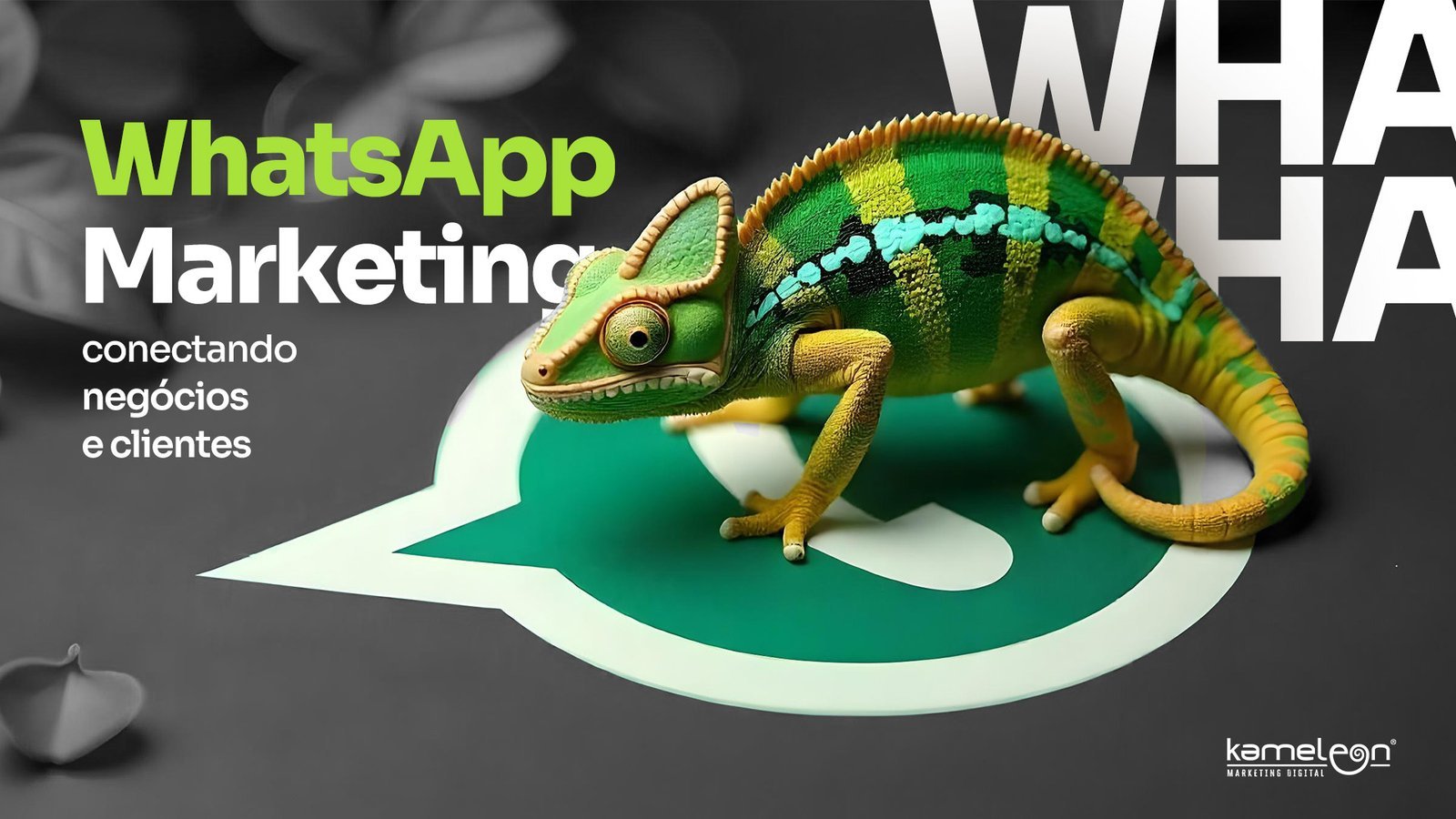 WhatsApp Marketing para conectar empresas e clientes