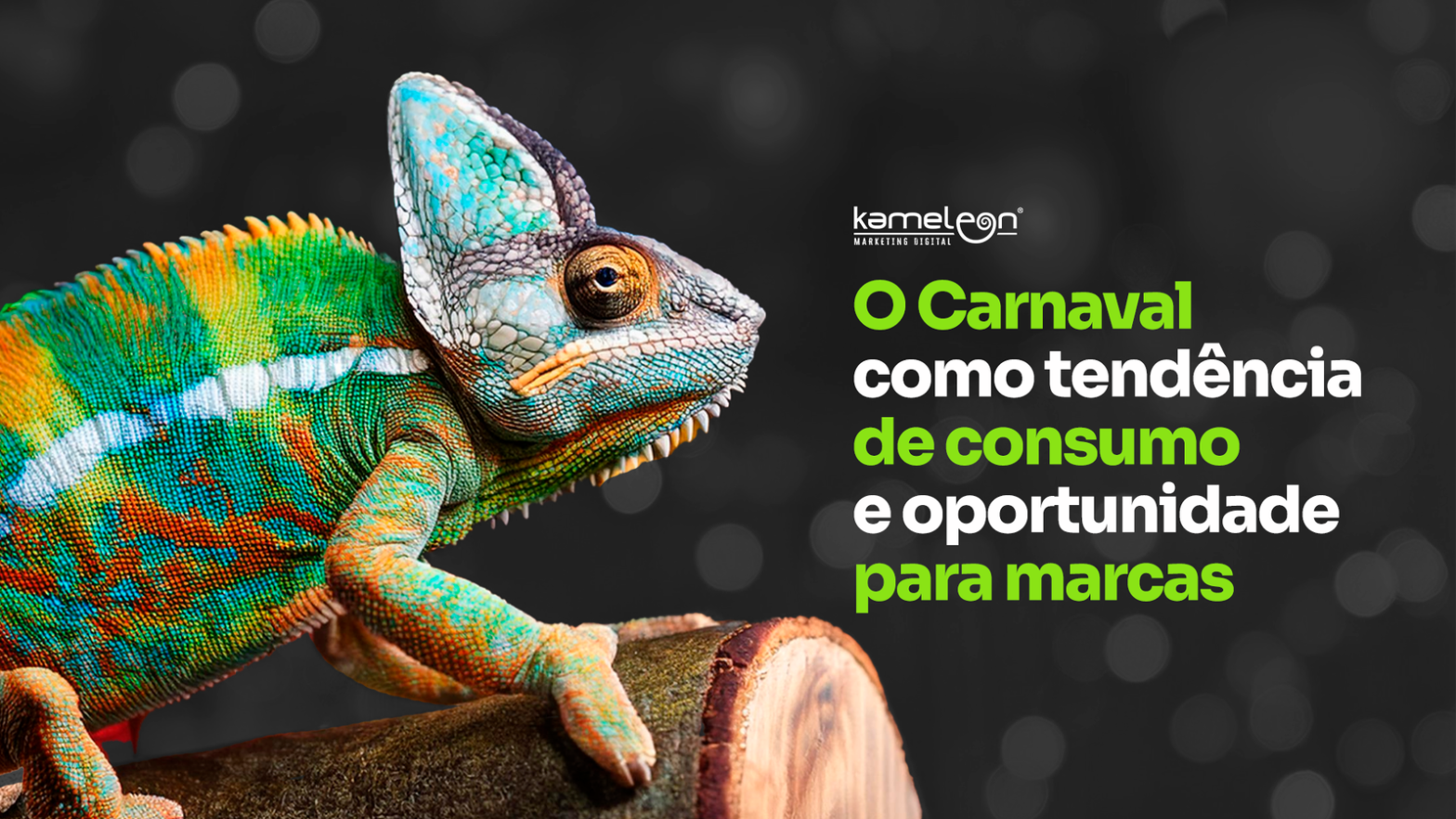 Carnaval - tendência de consumo e marketing digital