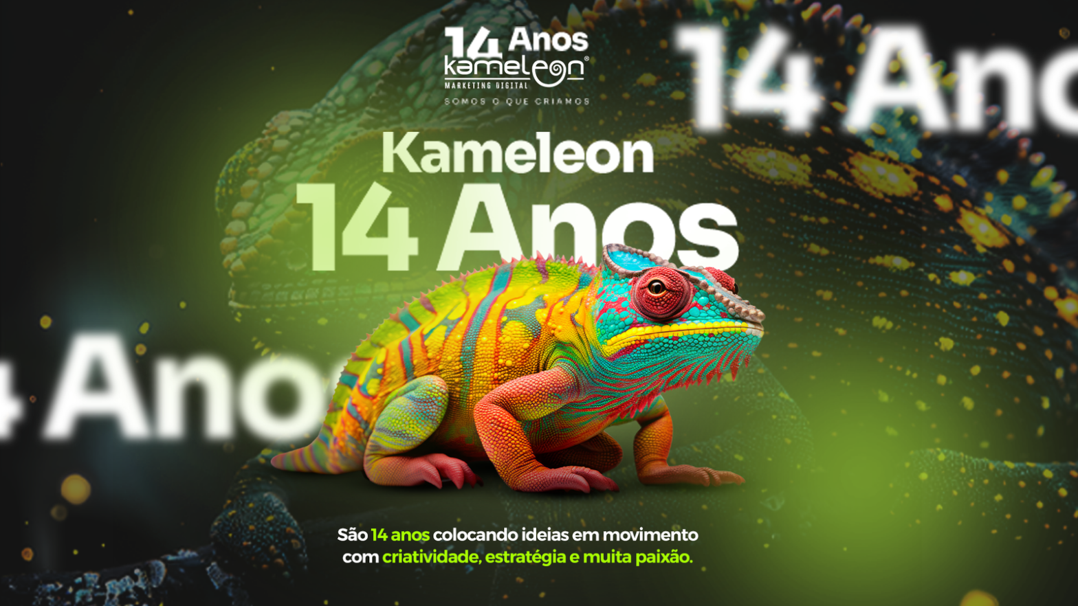 Kameleon 14 anos de marketing digital
