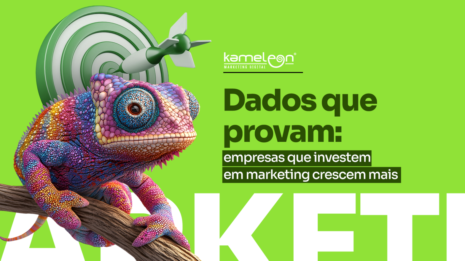 Dados sobre empresas que investem em marketing